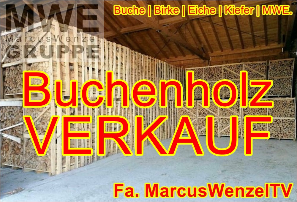 Wir VERKAUFEN Buchenholz | 30 cm & mehr | Schüttraummeter ab WERK
